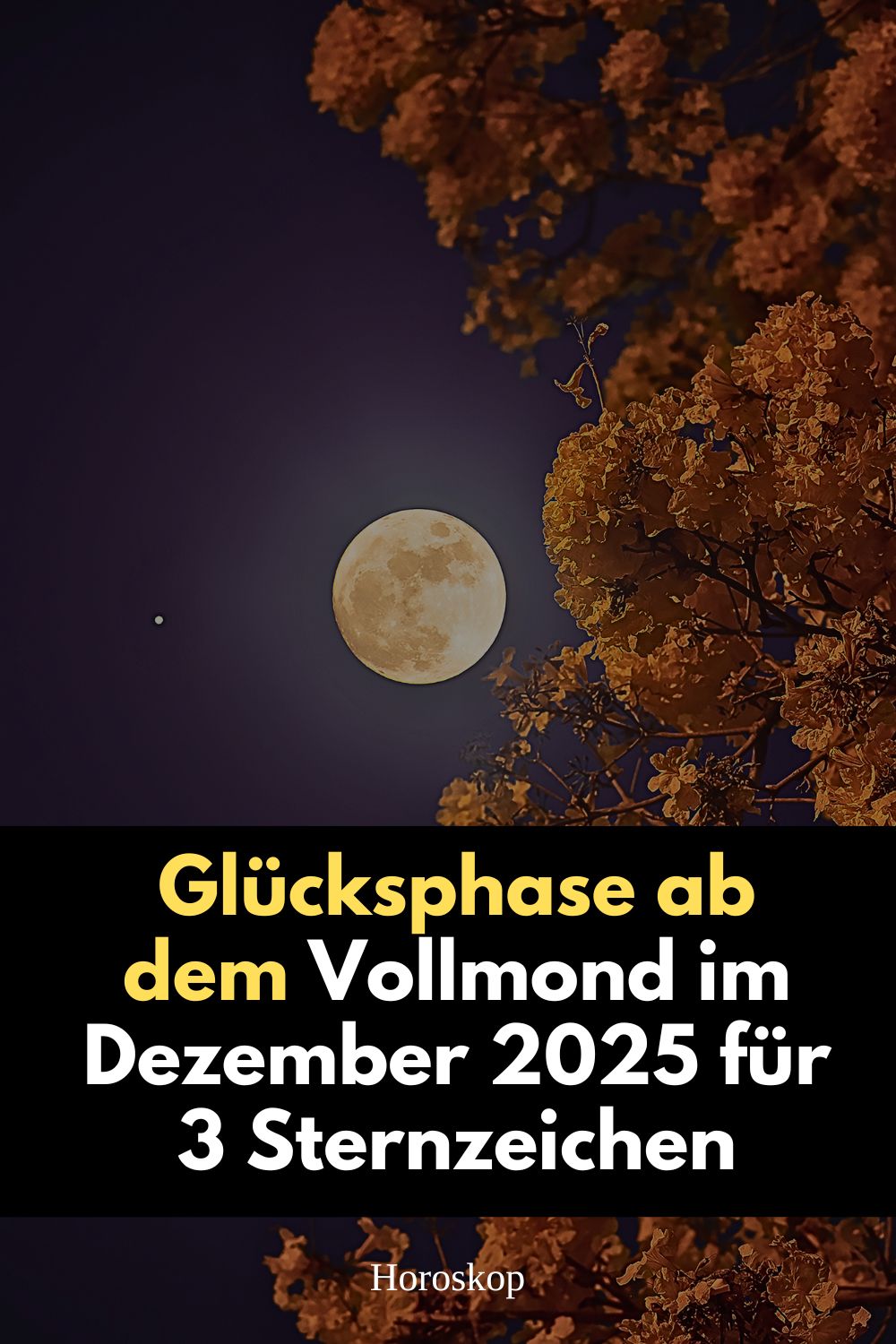 Vollmond Dezember 2025, Glücksphase Sternzeichen, Zwilling Vollmond 2025, astrologische Vorhersage Dezember, Vollmond Horoskop, Stier Zwillinge Löwe Vollmond, kosmische Energie Dezember, Horoskop Dezember 2025, astrologische Deutung Vollmond, Glück für Sternzeichen