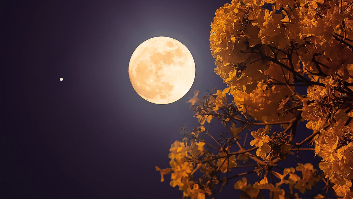 Glücksphase ab dem Vollmond im Dezember 2025 für 3 Sternzeichen