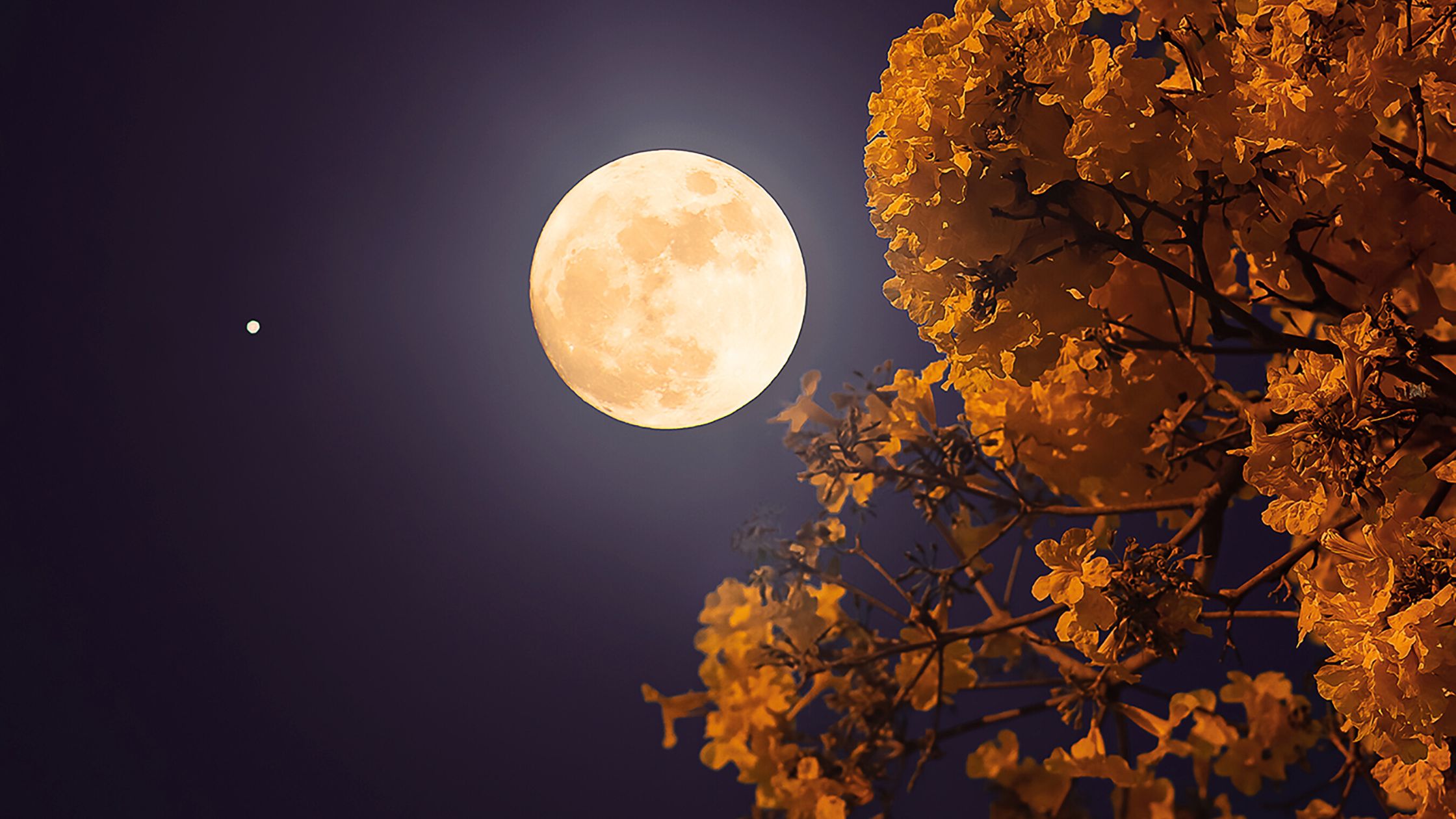 Glücksphase ab dem Vollmond im Dezember 2025 für 3 Sternzeichen