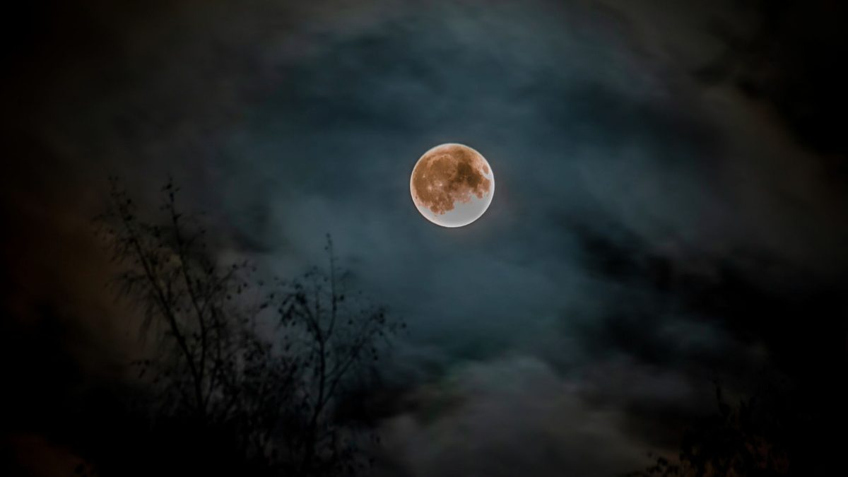 Horoskop für Montag, den 24. November 2025