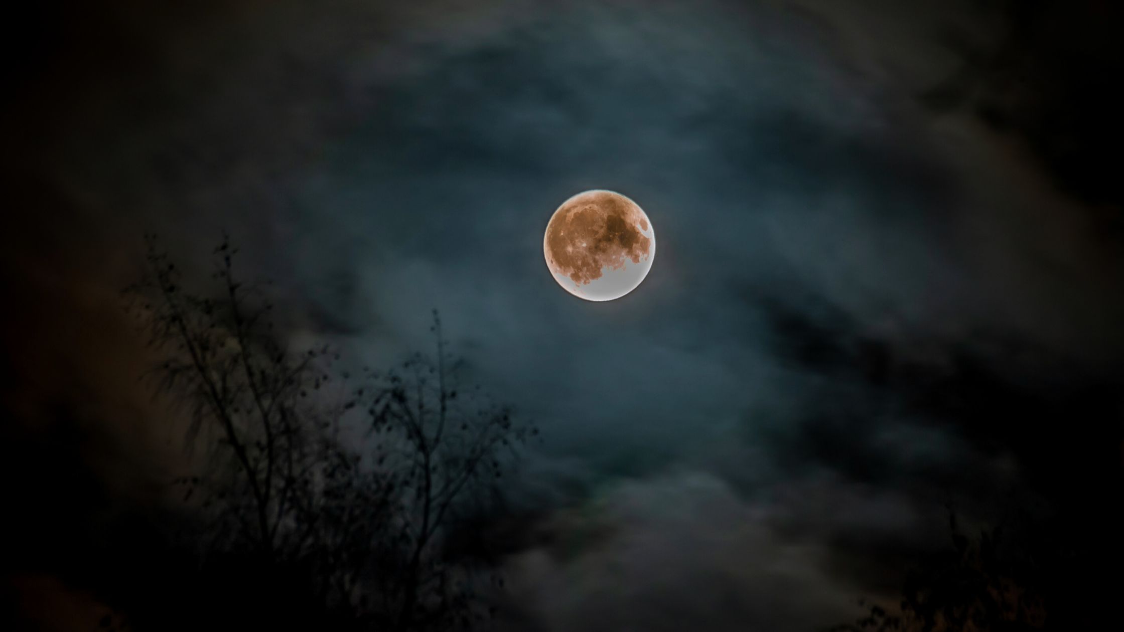 Horoskop für Montag, den 24. November 2025