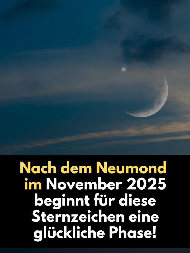 Nach dem Neumond am 20. November 2025 beginnt für bestimmte Sternzeichen eine intensive Phase der Transformation, Heilung und neuer Chancen. Erfahre, welche 4 Sternzeichen jetzt aufblühen – und wie Du diese kraftvolle Energie für Dich nutzt.