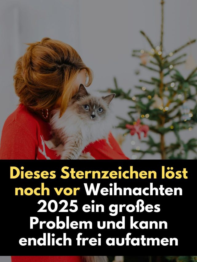 Dieses Sternzeichen erlebt  vor Weihnachten 2025 eine kraftvolle Befreiung: Emotionale Klarheit, beruflicher Durchbruch oder finanzielle Erleichterung. Erfahre, warum gerade jetzt eine große Last von seinen Schultern fällt – und was diese Wendung für 2026 bedeutet.