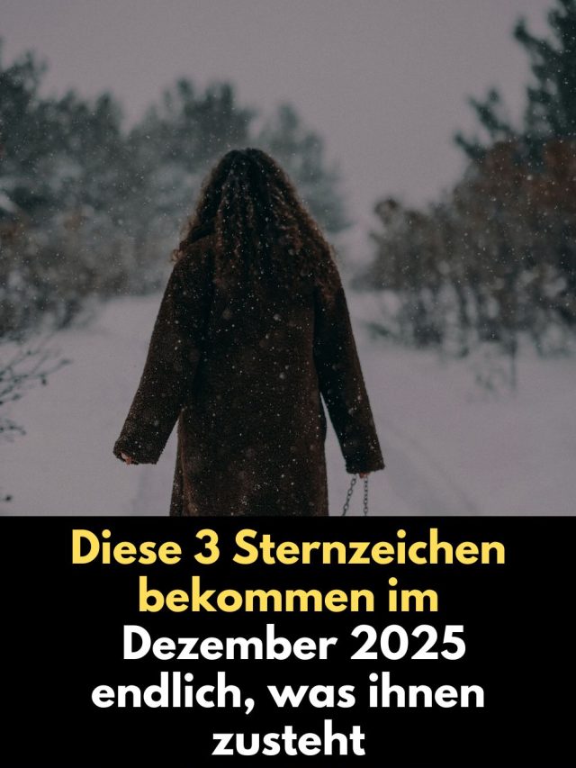 Im Dezember 2025 erfüllt das Universum lang gehegte Wünsche: Drei Sternzeichen erleben jetzt ihr wahres Karma, tiefe Klarheit und echte Erfüllung. Erfahre, welche Zeichen im letzten Monat des Jahres endlich bekommen, was ihnen zusteht – und warum gerade jetzt ihre Zeit gekommen ist.
