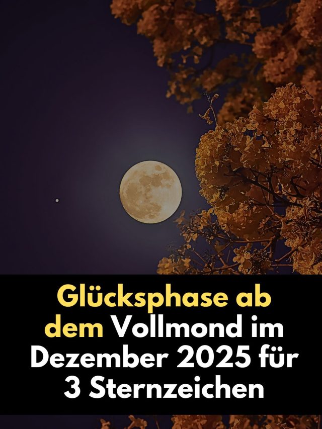 Der Vollmond im Zwilling am 5. Dezember 2025 bringt drei Sternzeichen außergewöhnliches Glück, Klarheit und emotionale Heilung. Erfahre, welche Zeichen von dieser kosmischen Energie profitieren und wie sich ihre nächsten Wochen positiv verändern.