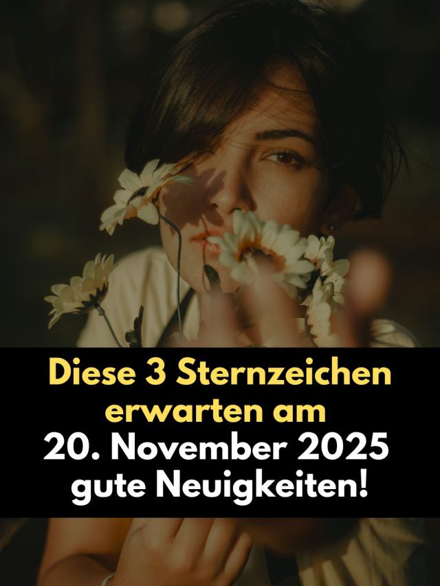 Am 20. November 2025 öffnet sich ein kosmisches Fenster des Glücks! 🌟 Drei Sternzeichen erhalten an diesem Tag Nachrichten, die ihr Leben verändern könnten. Erfahre, welche himmlischen Energien wirken und warum das Universum genau jetzt seine schönsten Geschenke verteilt.