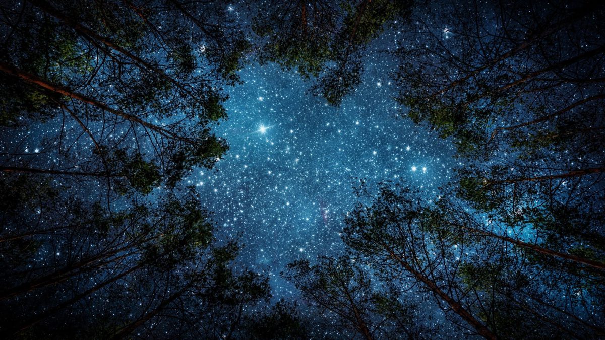 Dein Horoskop für Freitag den 9. Januar 2026