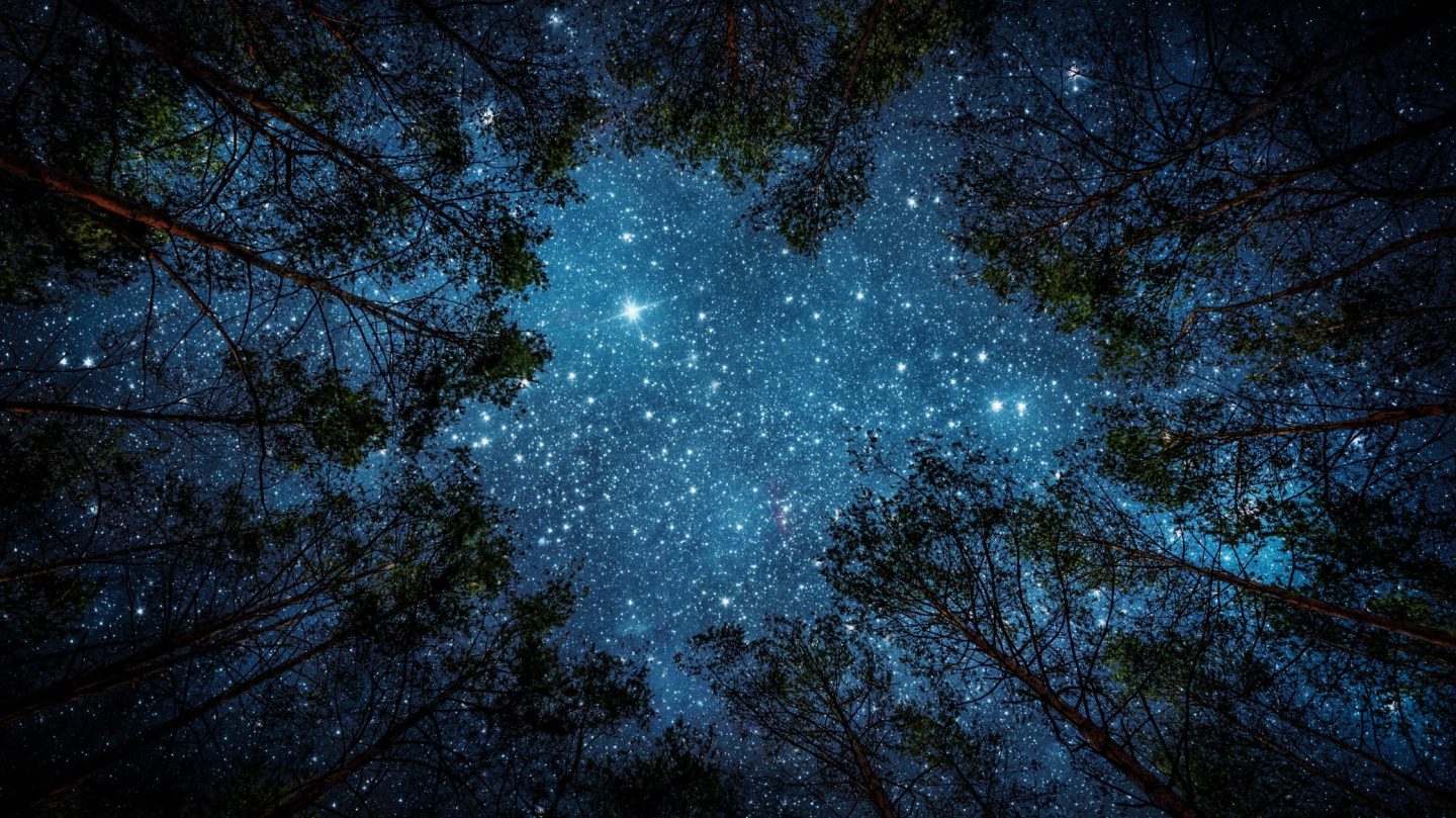 Dein Horoskop für Freitag den 9. Januar 2026