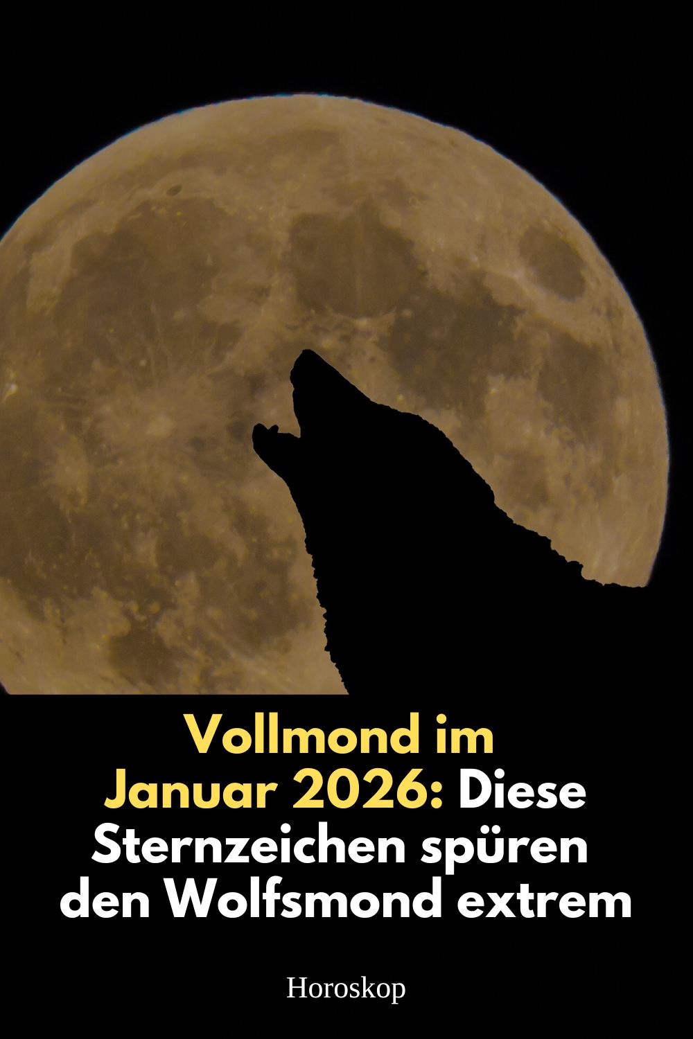 Wolfsmond Januar 2026, Wolfsmond 3 Januar 2026, Vollmond Januar 2026, Wolfsmond Bedeutung, Sternzeichen Wolfsmond, Löwe Wolfsmond, Jungfrau Wolfsmond, Fische Wolfsmond, astrologischer Vollmond Januar, Vollmond Transformation, Astrologie Januar 2026, Sternzeichen Vollmond, spirituelle Bedeutung Wolfsmond