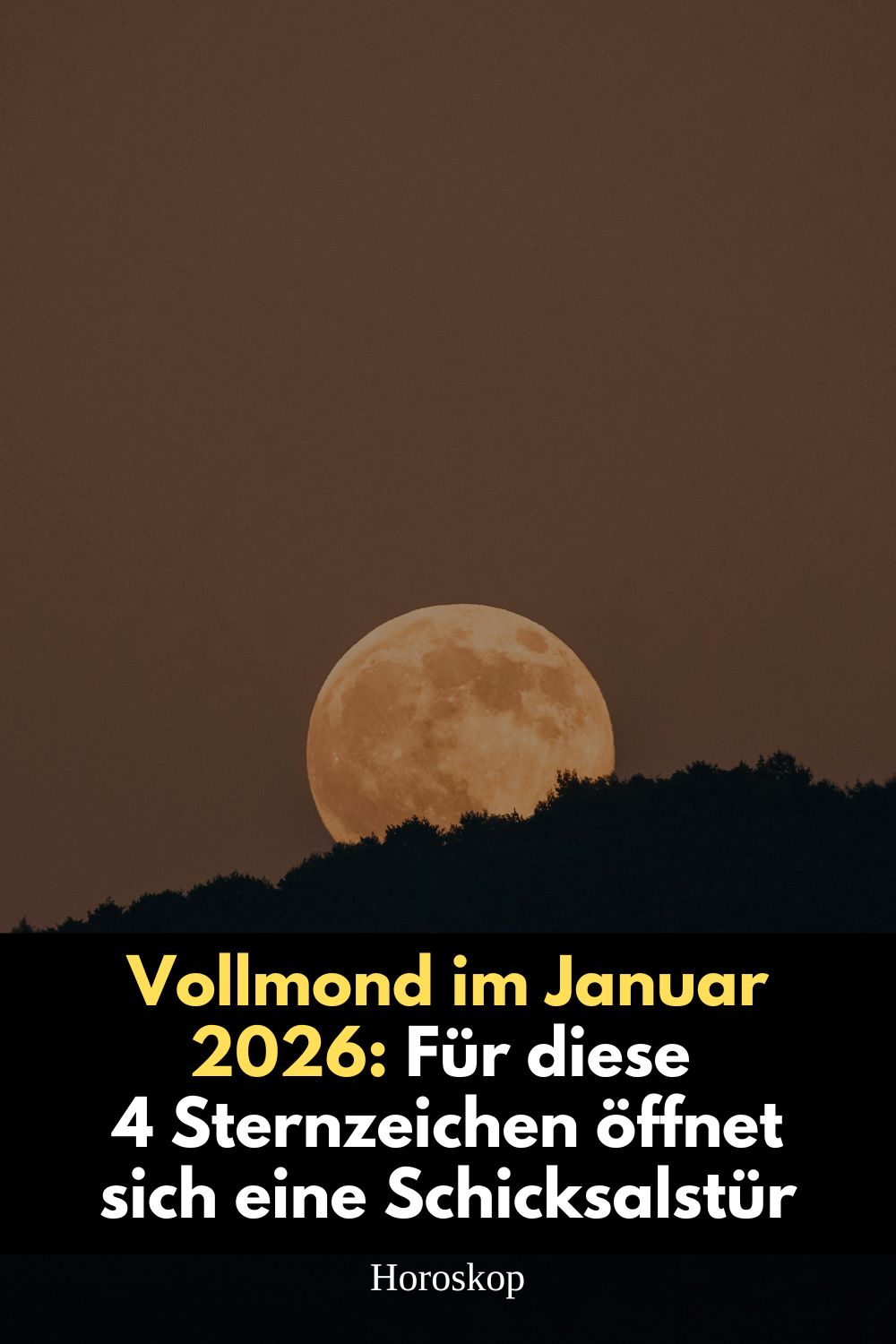 Vollmond Januar 2026, Vollmond Astrologie, Vollmond Sternzeichen, Schicksalstür Astrologie, astrologischer Neuanfang 2026, Vollmond Bedeutung, Stier Vollmond Januar 2026, Krebs Vollmond Januar 2026, Löwe Vollmond Januar 2026, Steinbock Vollmond Januar 2026, astrologische Wendepunkte, spiritueller Neubeginn 2026, Horoskop Januar 2026, Vollmond Transformation