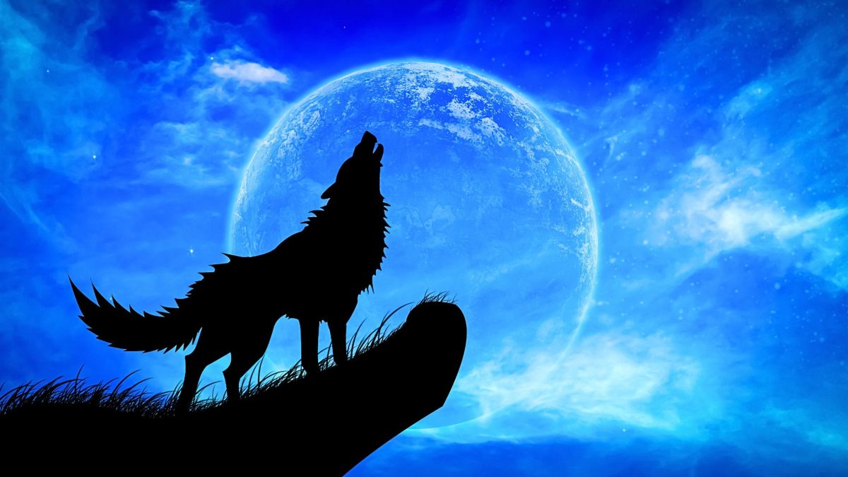 Vollmond im Januar 2026: Diese Sternzeichen spüren den Wolfsmond extrem