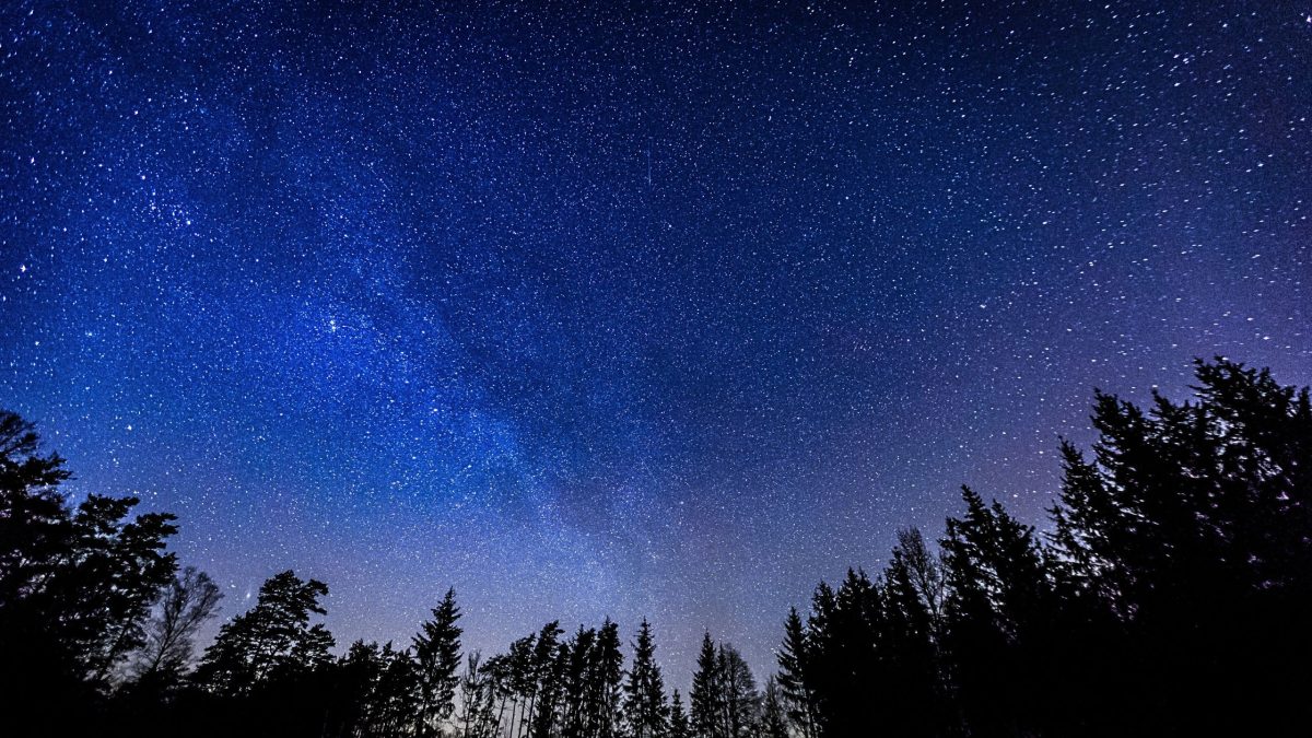 Horoskop für Dienstag, den 16. Dezember 2025