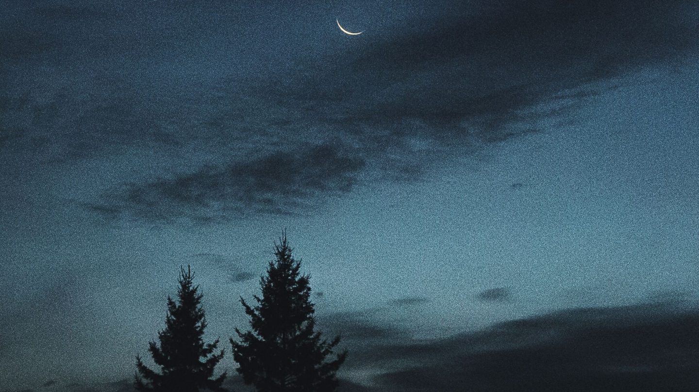 Horoskop für Donnerstag, den 11. Dezember 2025 – Der Tag der heilsamen Erdung