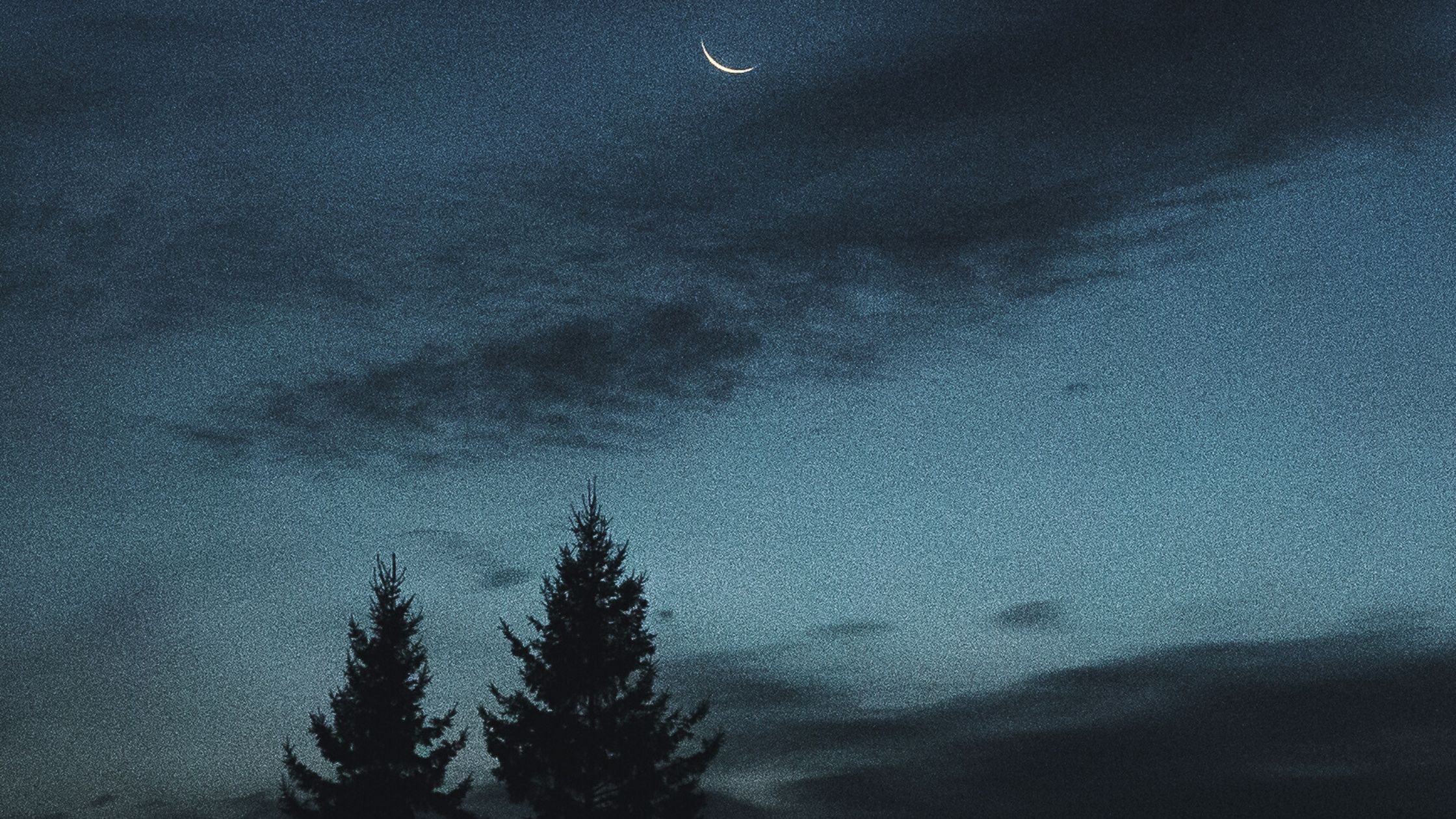 Horoskop für Donnerstag, den 11. Dezember 2025 – Der Tag der heilsamen Erdung