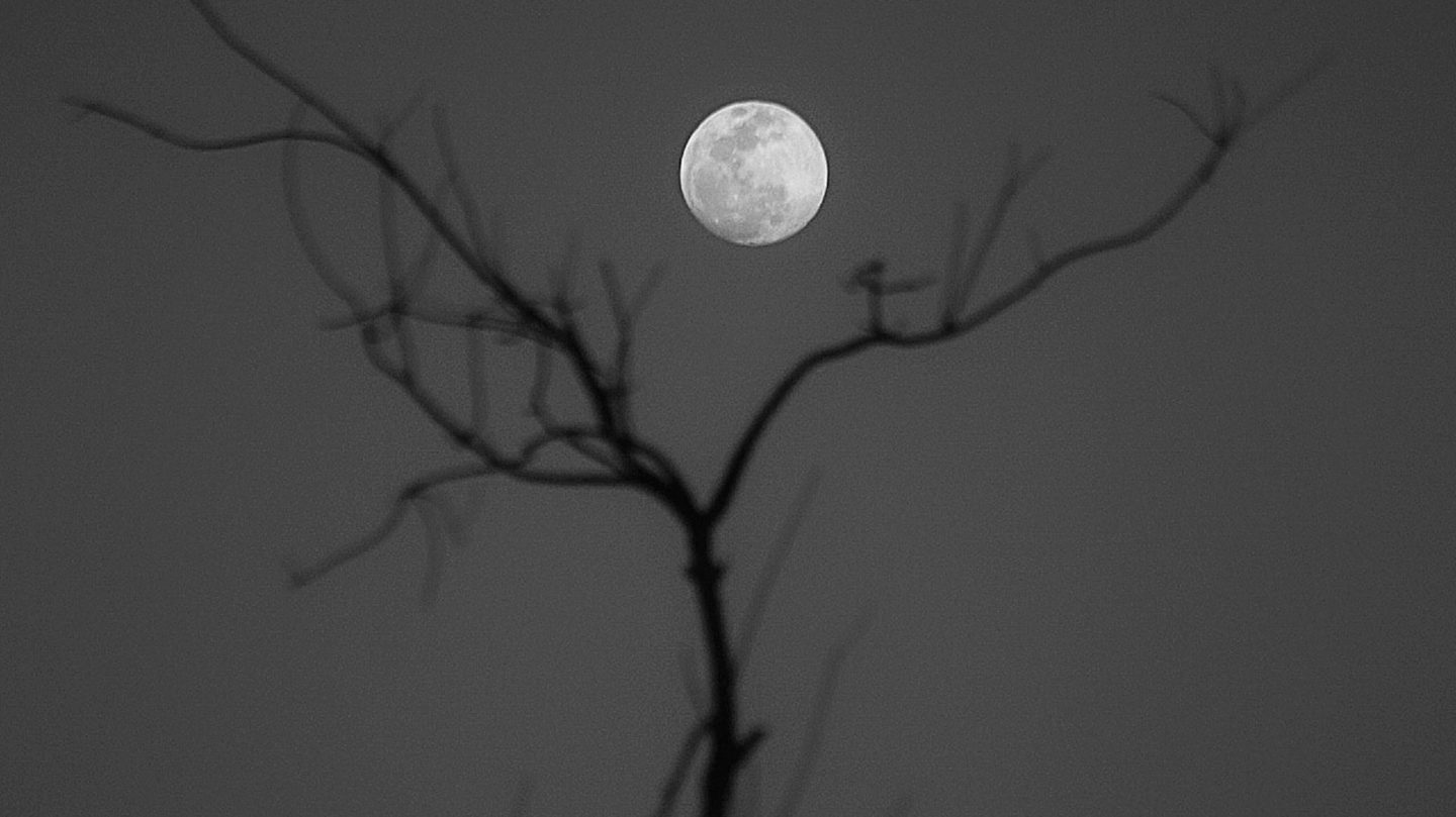 Vollmond im Januar 2026: Für diese 4 Sternzeichen öffnet sich eine Schicksalstür