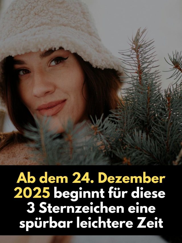 Ab dem 24. Dezember 2025 beginnt für drei Sternzeichen eine spürbar leichtere Zeit. Astrologisch erklärt, emotional gedeutet und voller Hoffnung: Warum das Universum jetzt endlich unterstützt.