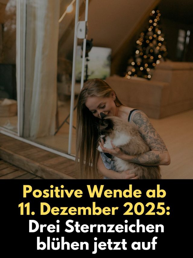 Ab dem 11. Dezember 2025 wird Neptun direktläufig – und drei Sternzeichen spüren eine kraftvolle positive Wende.