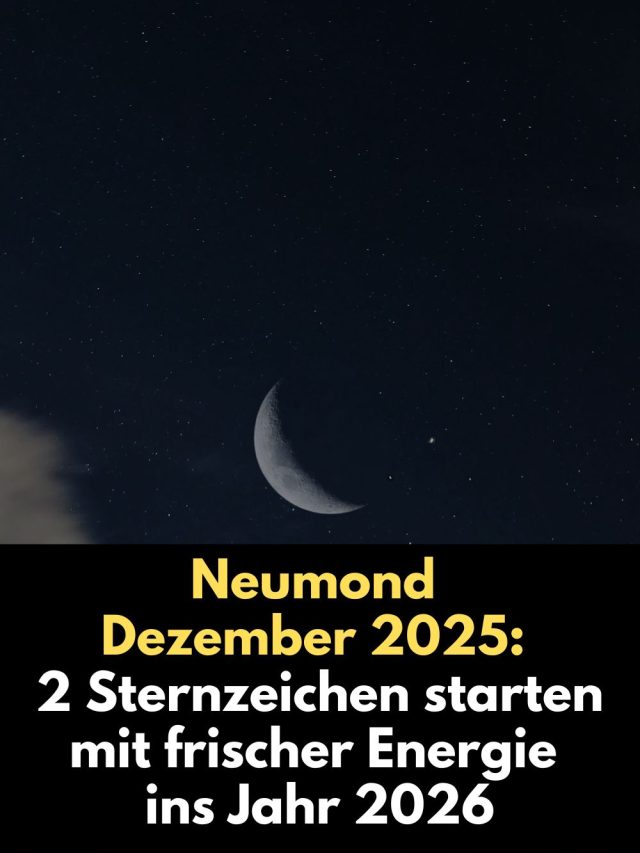 Der Neumond am 20. Dezember 2025 bringt einen tiefgreifenden Energieschub – besonders für Löwe und Fische. Erfahre, warum dieser besondere Neumond ein emotionaler Reset ist und wie er zwei Sternzeichen zu neuer Klarheit und Kraft führt.