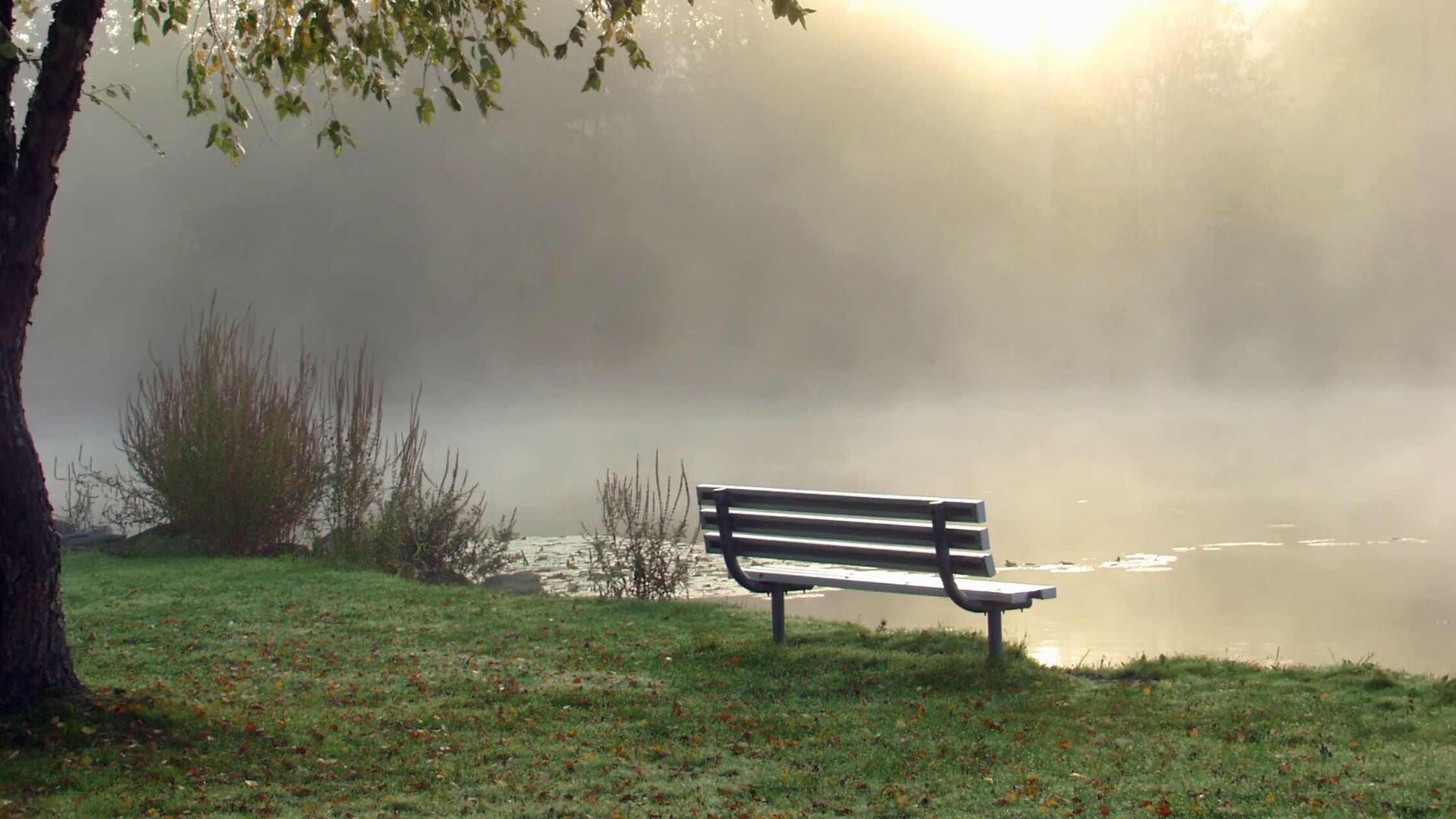 Ab 18. Januar 2026 beginnt für ein Sternzeichen die sanfteste Phase des Jahres