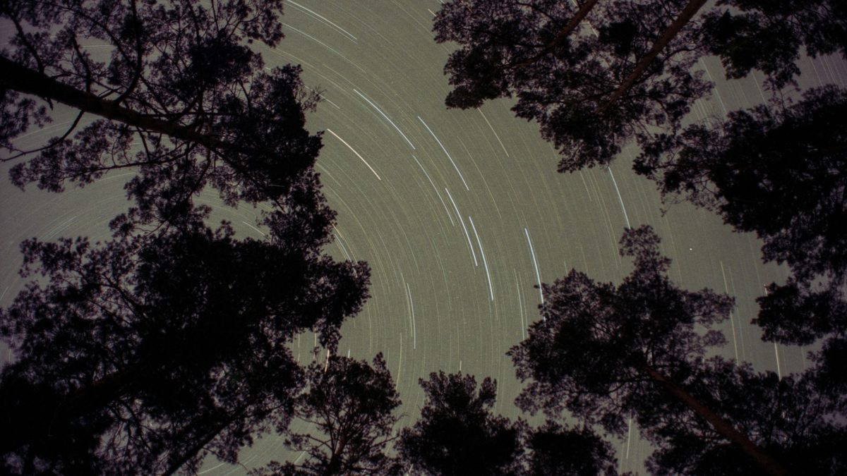 Dein Wochenhoroskop vom 1. bis 8. Februar 2026