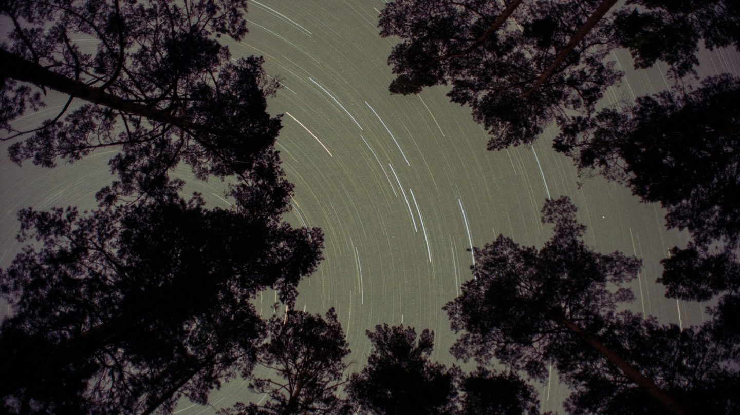 Dein Wochenhoroskop vom 1. bis 8. Februar 2026