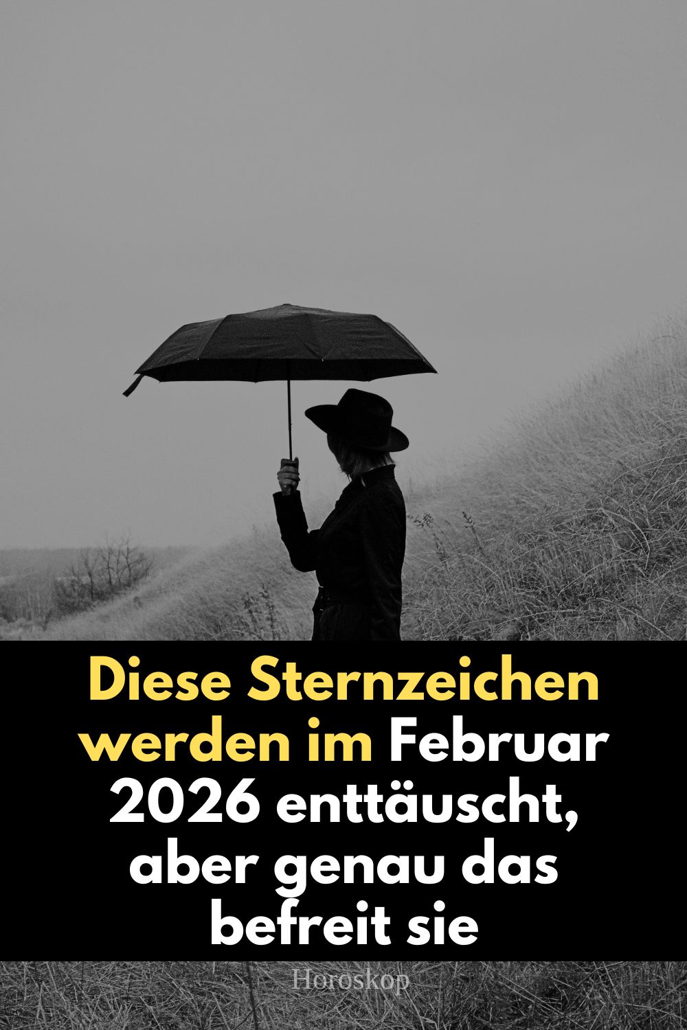 Sternzeichen Februar 2026, Enttäuschung Horoskop, Horoskop Februar 2026, Krebs Februar 2026, Widder Februar 2026, Zwillinge Februar 2026, astrologische Enttäuschung, Saturn Neptun Konjunktion, spirituelle Transformation Sternzeichen, Liebesenttäuschung Horoskop, emotionale Heilung Astrologie, Horoskop Beziehung Krise, kosmische Wahrheit Februar 2026