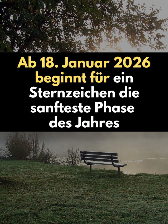 Ab dem 18. Januar 2026 öffnet sich für den Skorpion ein kosmisches Heilungsfenster. Erfahre, warum dieser Neumond tiefe emotionale Befreiung, Loslassen und innere Ruhe bringt – astrologisch erklärt und seelisch berührend.