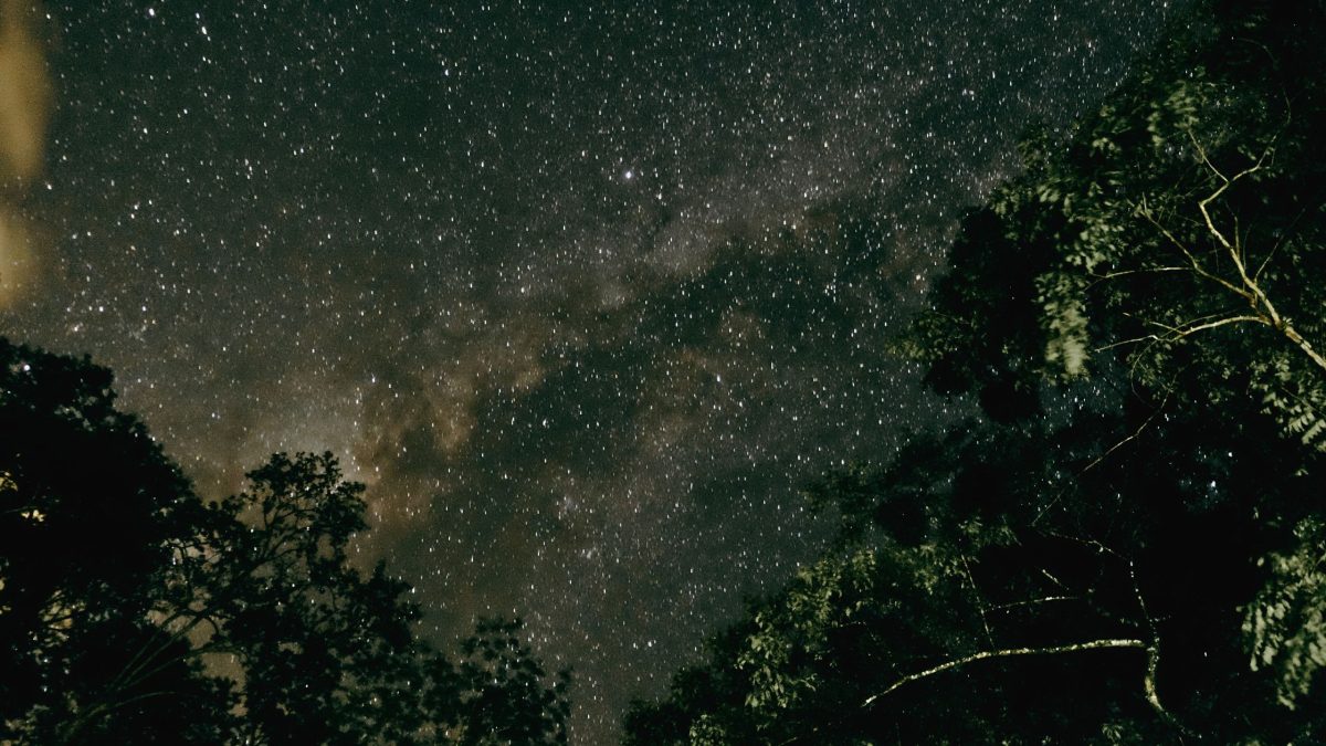 Dein Horoskop für Donnerstag, den 19. Februar 2026