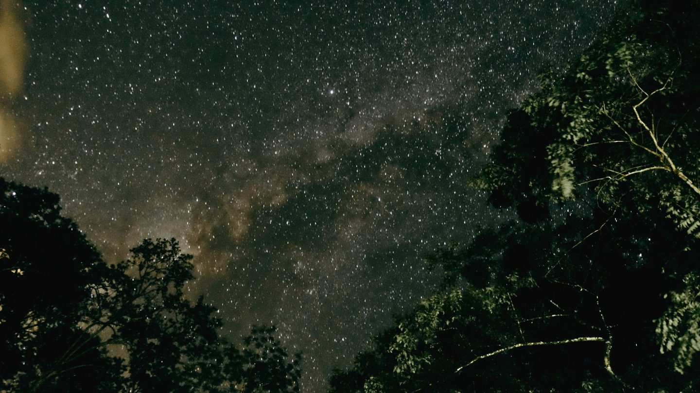 Dein Horoskop für Donnerstag, den 19. Februar 2026