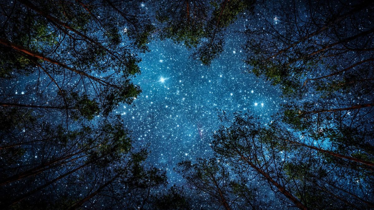 Dein Horoskop für Samstag, den 28. Februar 2026