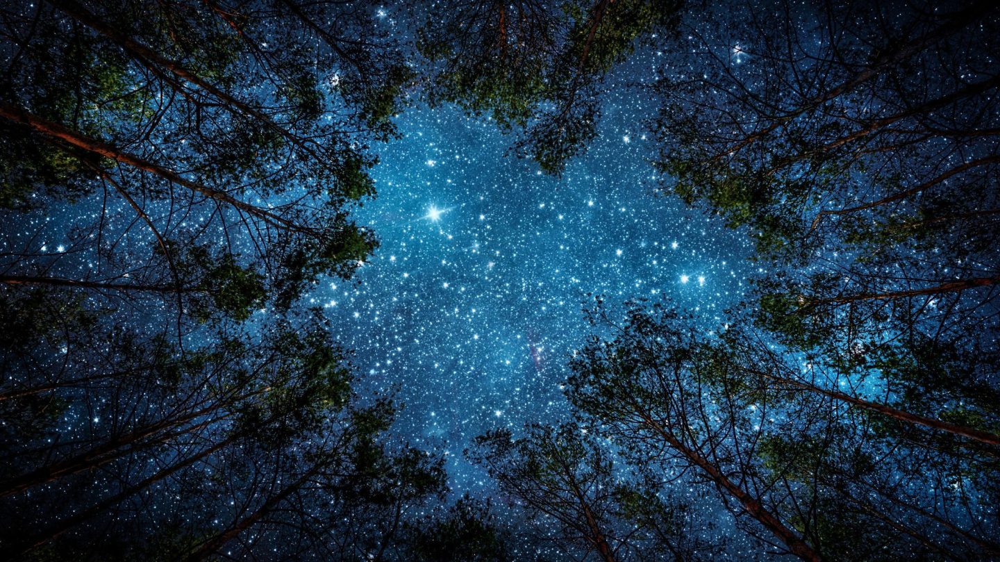 Dein Horoskop für Samstag, den 28. Februar 2026