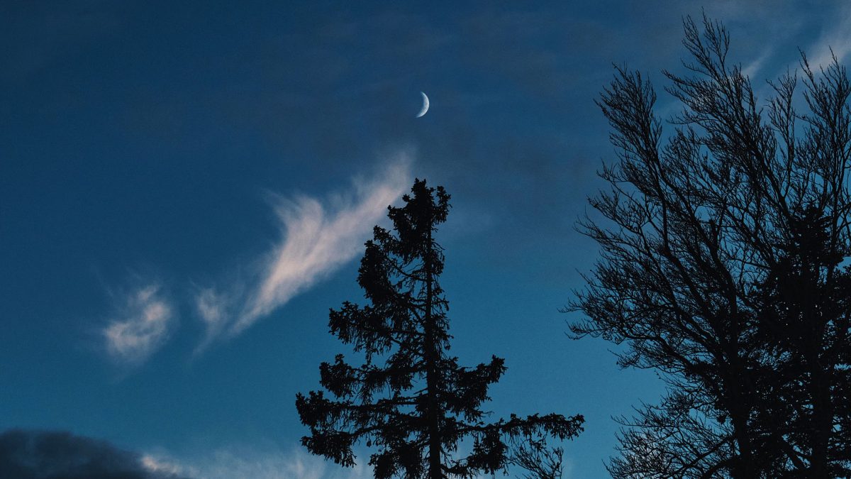 Dein Wochenhoroskop vom 1. bis 8. März 2026