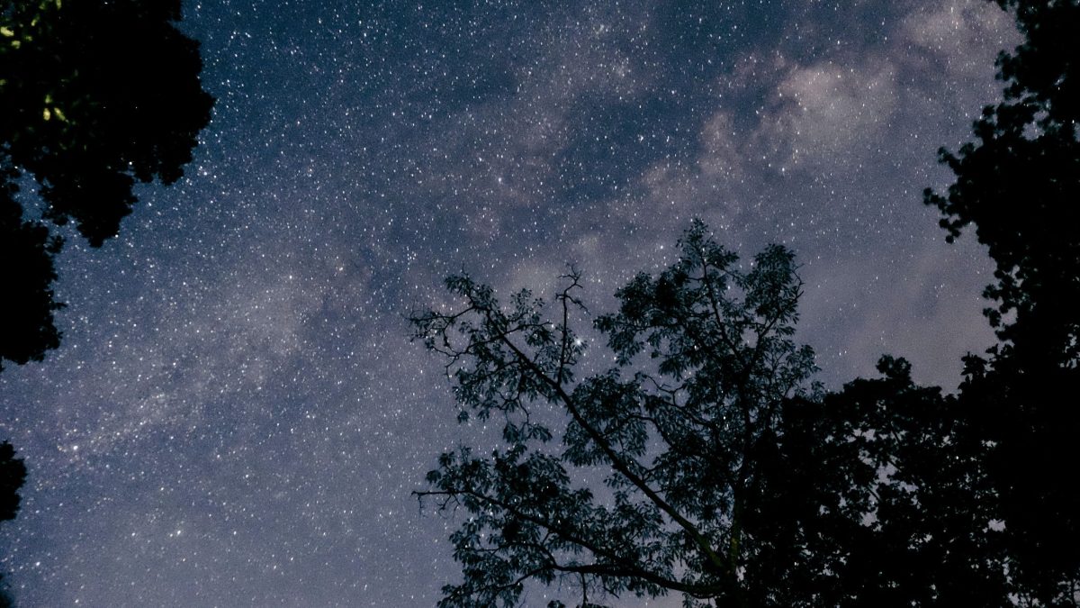 Dein Wochenhoroskop vom 22. bis 28. Februar 2026