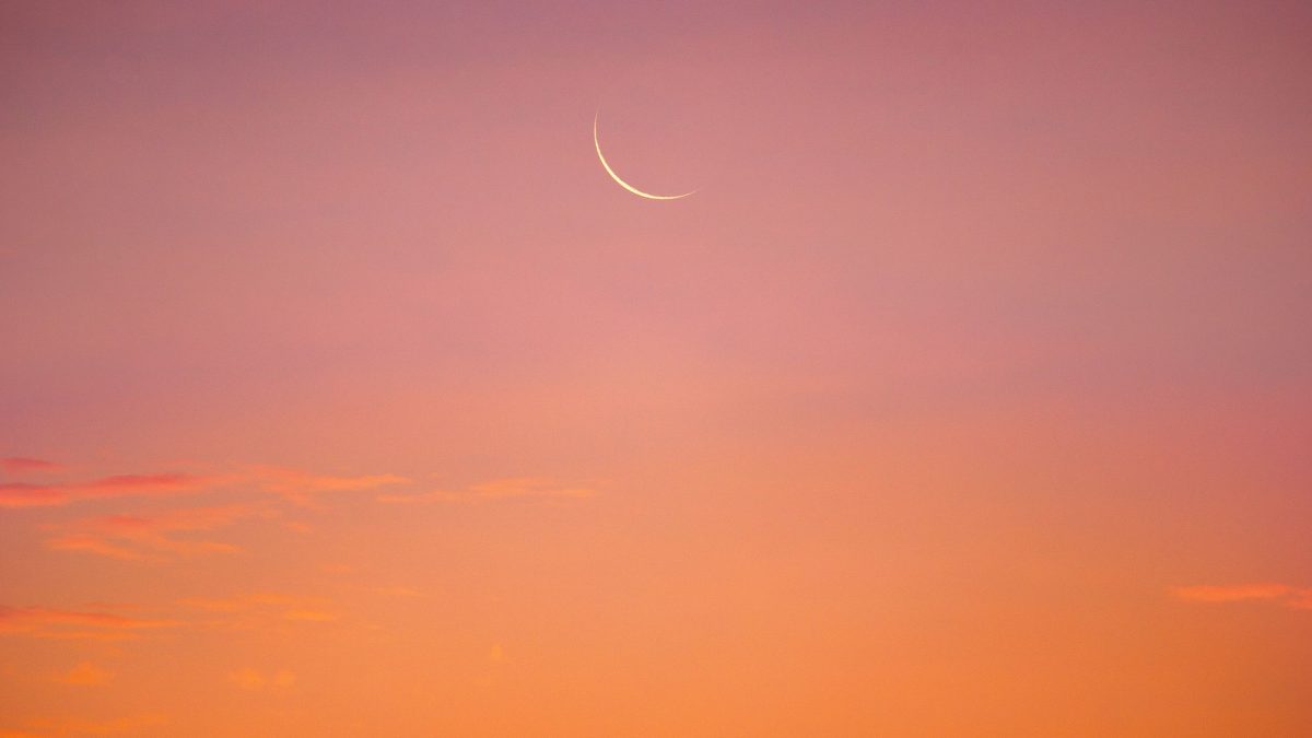 Dein Wochenhoroskop vom 8. Februar bis 16. Februar 2026