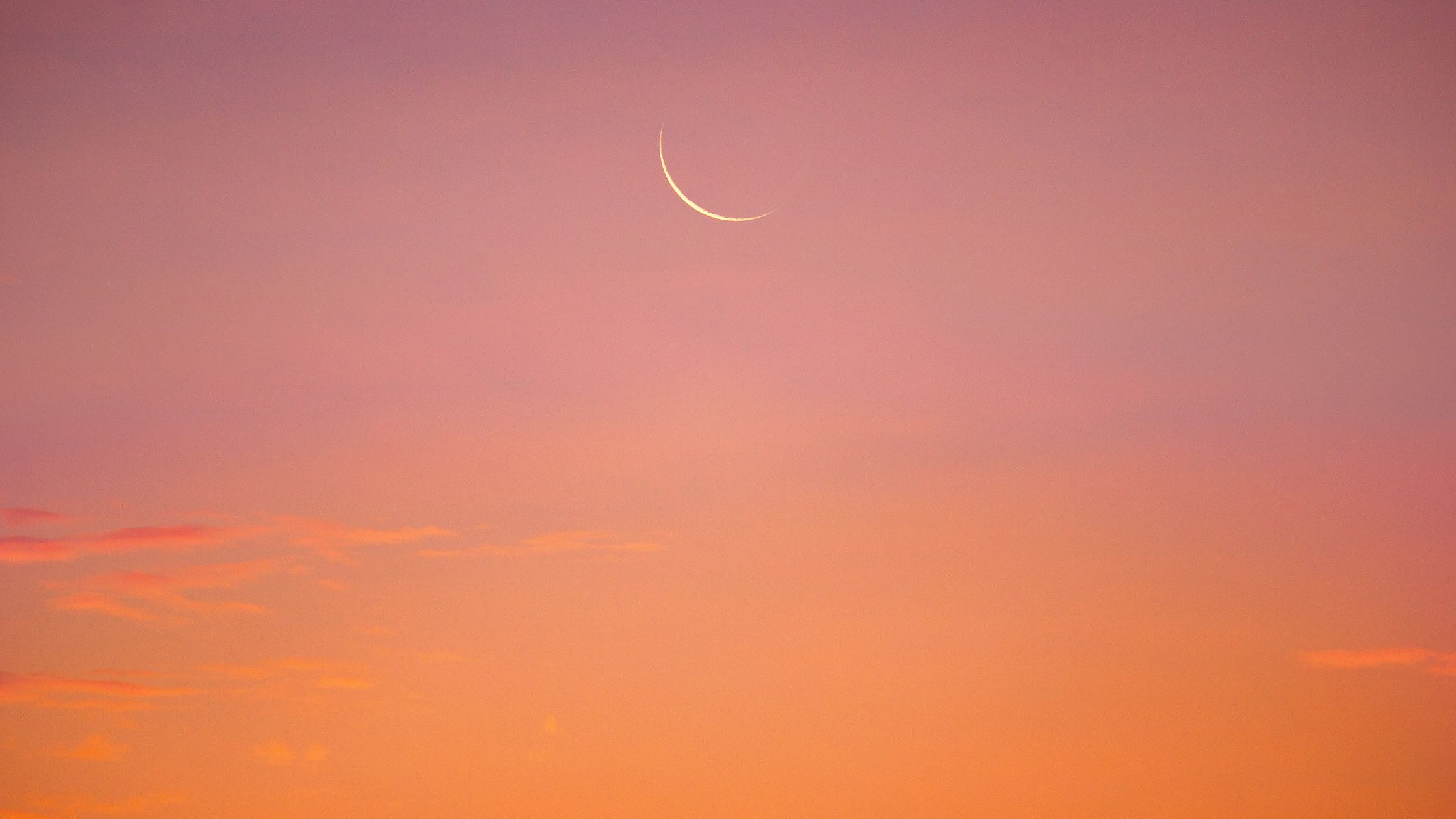 Dein Wochenhoroskop vom 8. Februar bis 16. Februar 2026