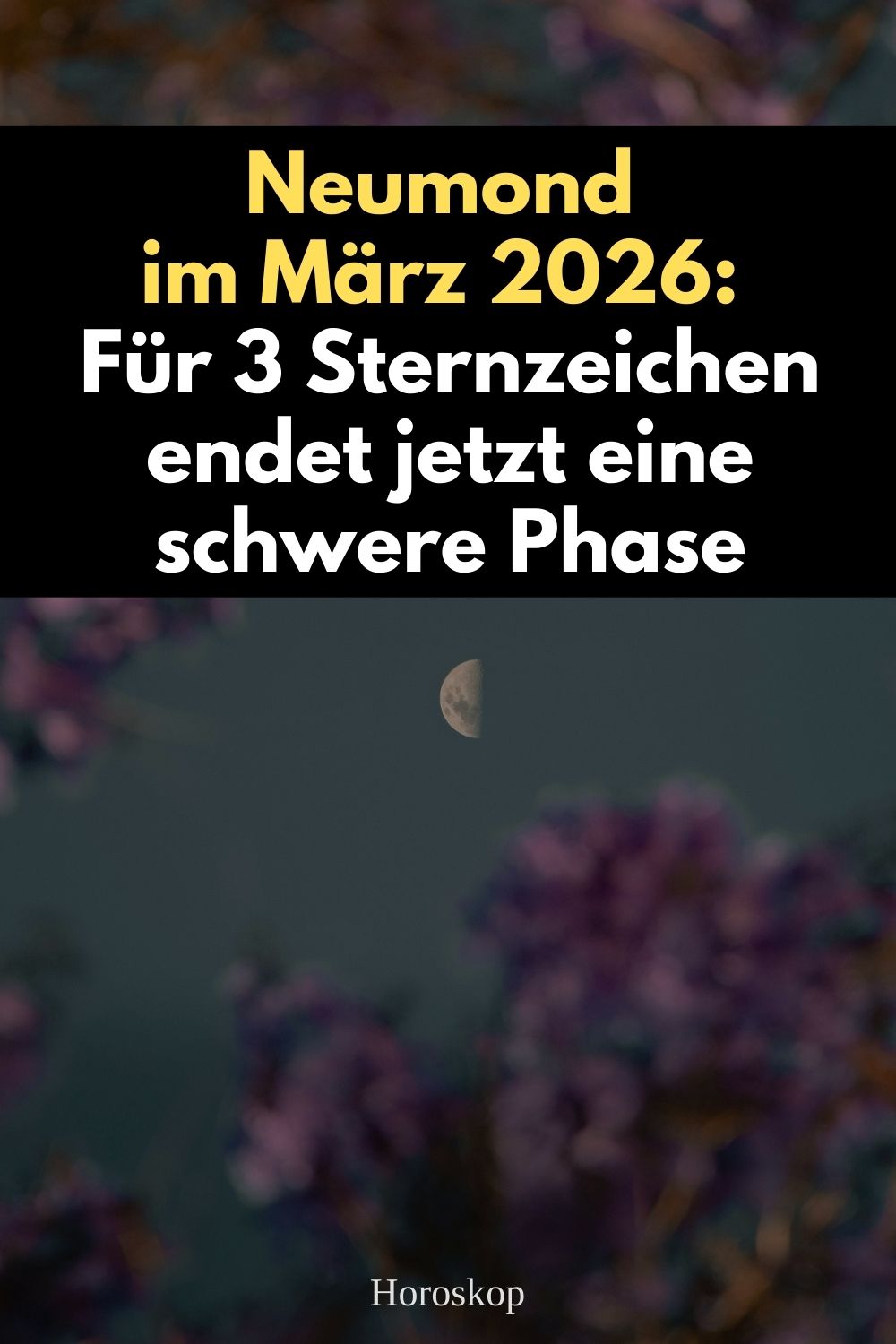 Neumond März 2026, Neumond Fische 2026, 19 März 2026 Neumond, astrologisches Jahr 2026, Sternzeichen März 2026, Stier Horoskop März 2026, Löwe Horoskop März 2026, Skorpion Horoskop März 2026, Neumond Bedeutung Astrologie, Neumond Neubeginn, Fische Neumond 28 Grad, schwere Phase endet Sternzeichen, astrologischer Neustart 2026, Sonnenwechsel Widder 2026, Neumond Energie nutzen