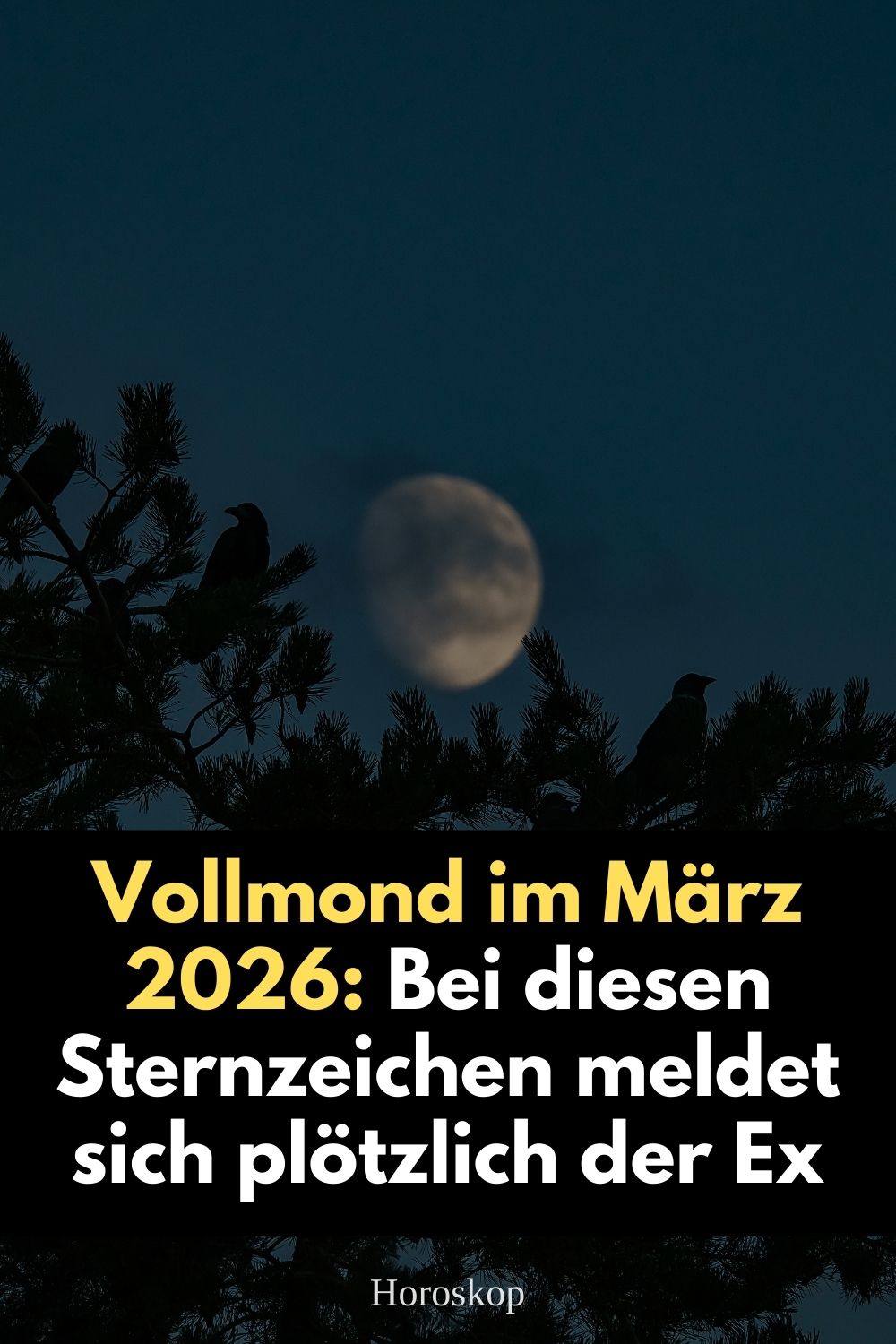 Vollmond März 2026, Ex meldet sich wieder, Sternzeichen Ex Kontakt, Vollmond Jungfrau 2026, Liebeshoroskop März 2026, astrologische Prognose Ex Partner, Trennung und Vollmond, Horoskop Ex zurück, Jungfrau Vollmond Bedeutung, spirituelle Liebe Astrologie, karmische Beziehungen, Sternzeichen Liebe März 2026