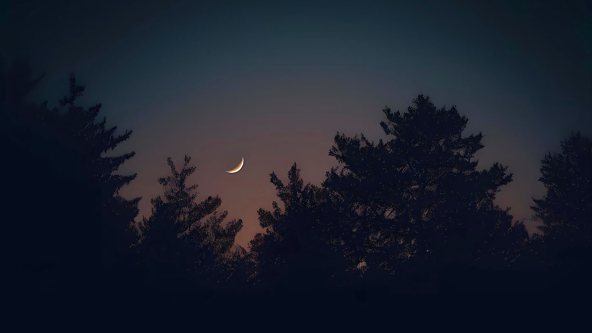 Neumond im Februar 2026: Diese 3 Sternzeichen starten jetzt in ihre goldene Ära