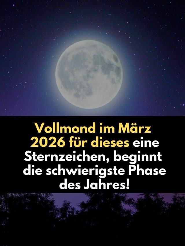 Der Vollmond mit Mondfinsternis am 3. März 2026 trifft den Stier besonders intensiv. Warum jetzt die emotional schwierigste, aber heilsamste Phase des Jahres beginnt – und was sie für Liebe, Beruf und Deine persönliche Entwicklung bedeutet.