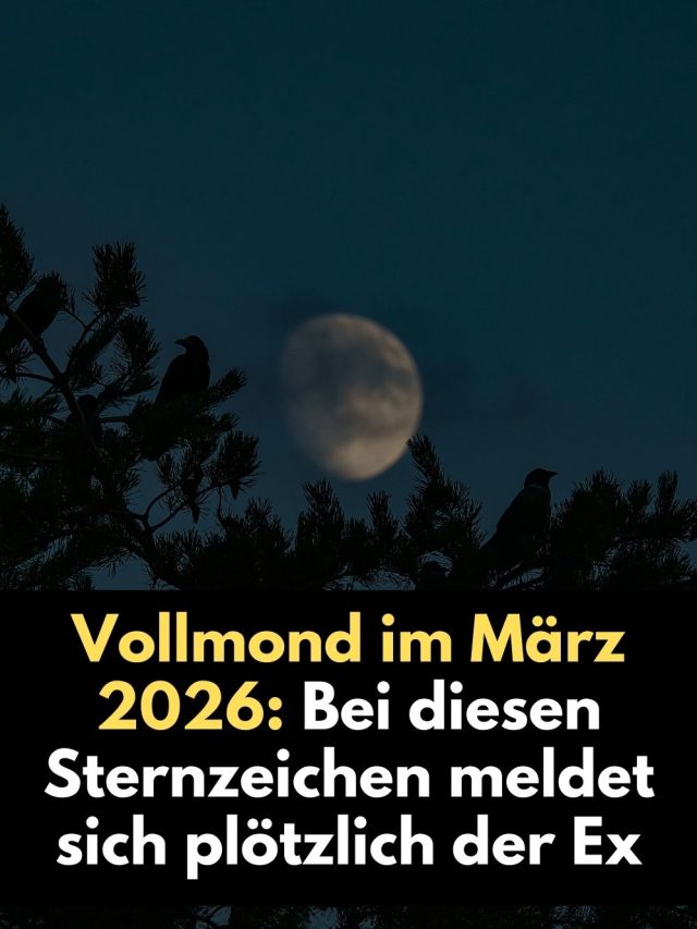 Vollmond in der Jungfrau am 3. März 2026: Warum sich Ex-Partner plötzlich melden. Erfahre, welche Sternzeichen jetzt alte Gefühle und karmische Verbindungen spüren.