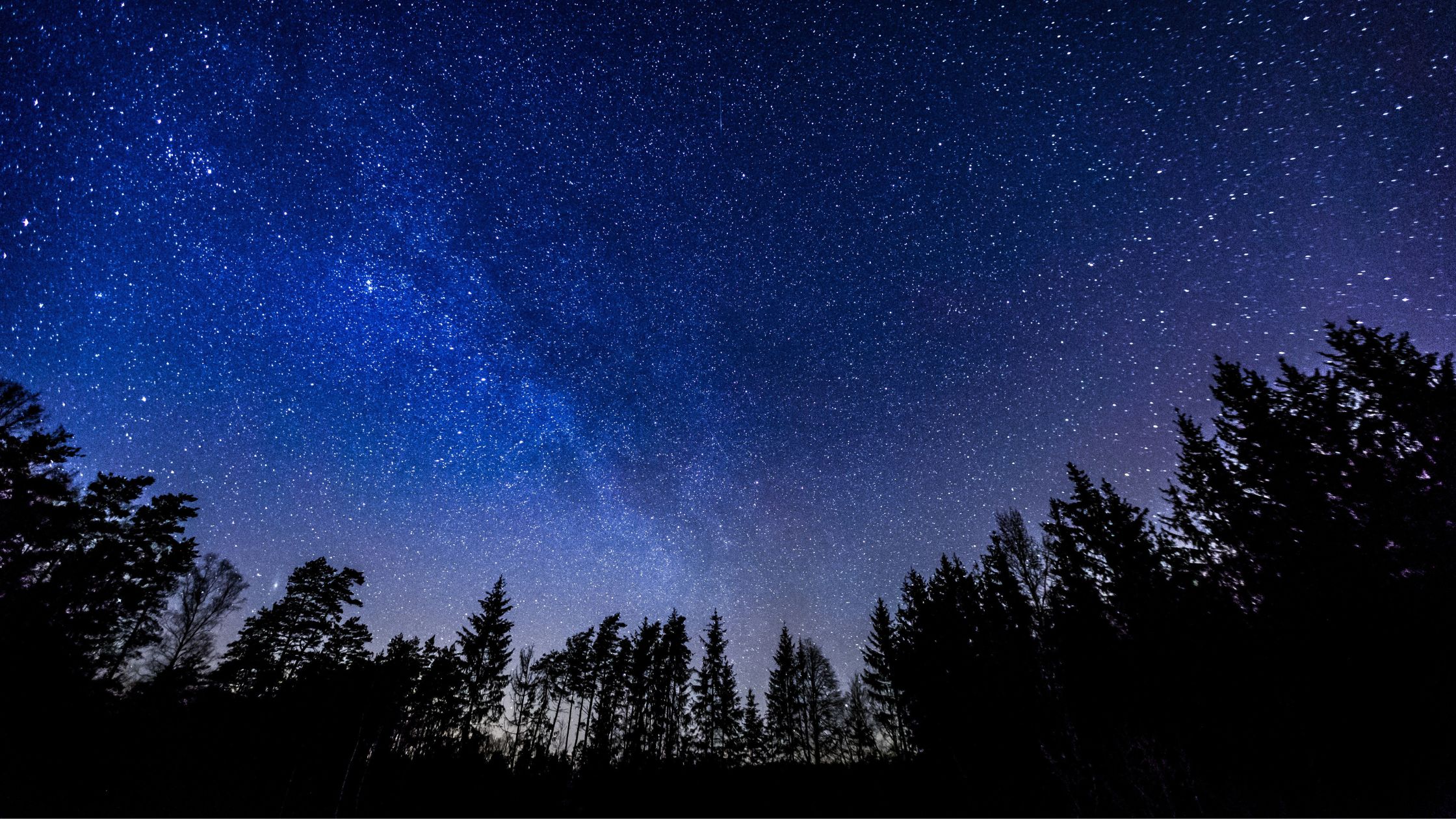 Dein Horoskop für Dienstag, den 31. März 2026