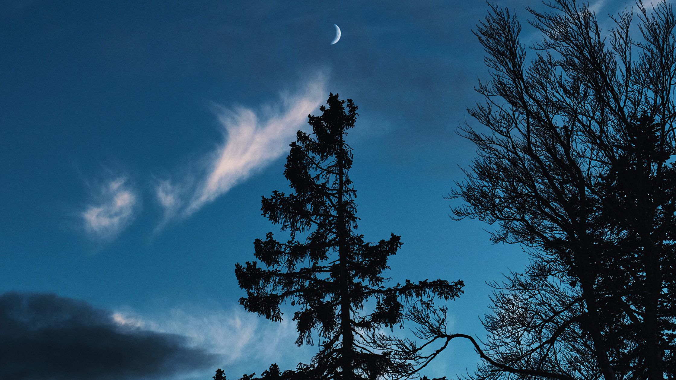 Dein Horoskop für Montag, den 9. März 2026