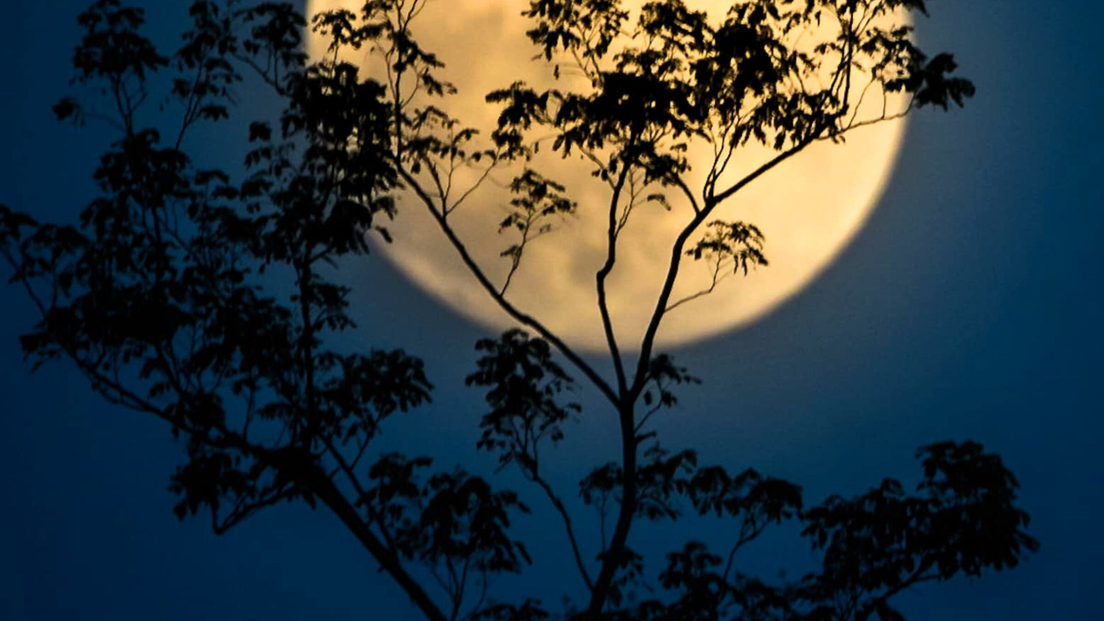 Vollmond im April 2026: Für 3 Sternzeichen beginnt jetzt eine kraftvolle Glücksphase