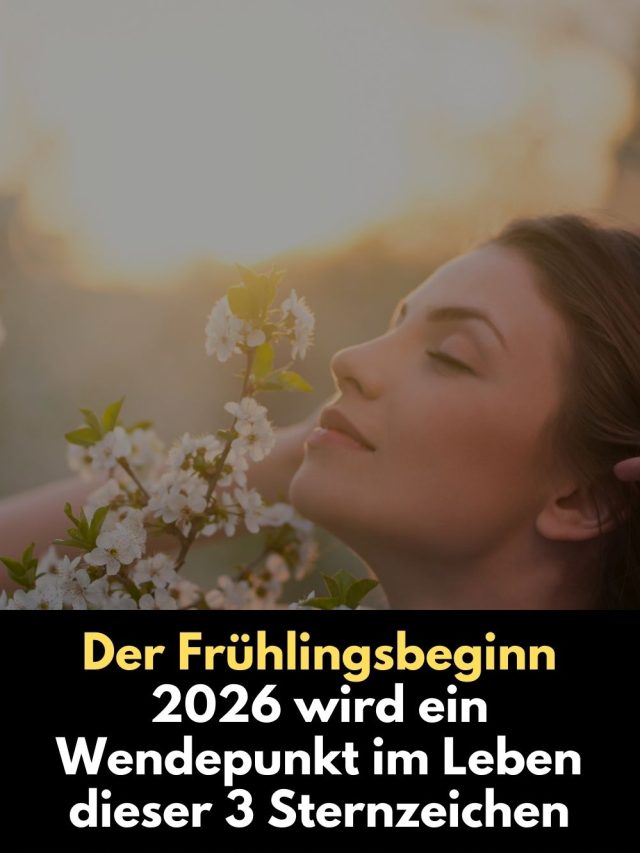 Der Frühlingsbeginn am 20. März 2026 bringt einen kosmischen Neustart. Für Löwe, Jungfrau und Stier beginnt ein entscheidender Wendepunkt im Leben. Erfahre, warum dieser Frühling alles verändert.