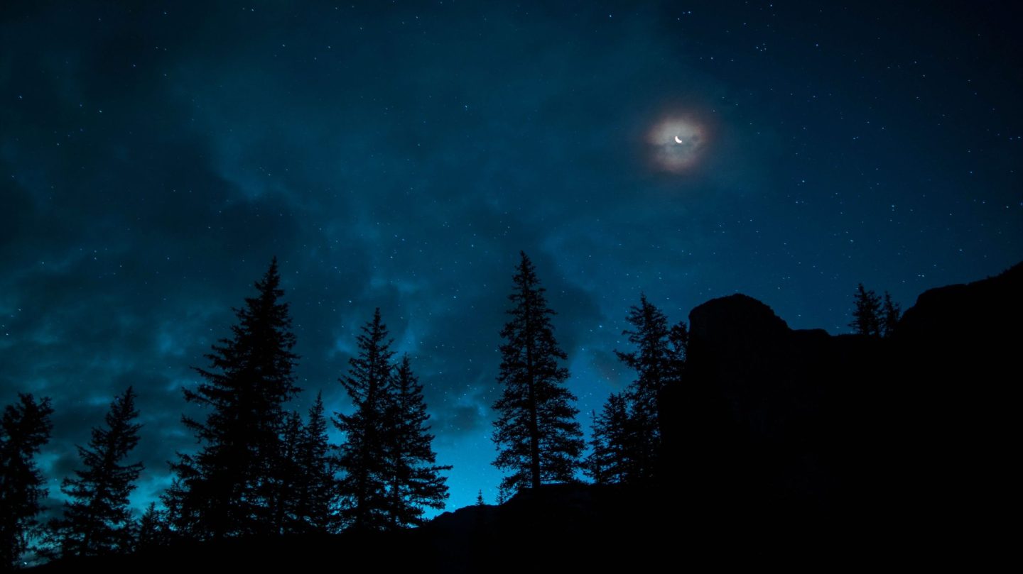 Dein Horoskop für Freitag, den 8. Mai 2026