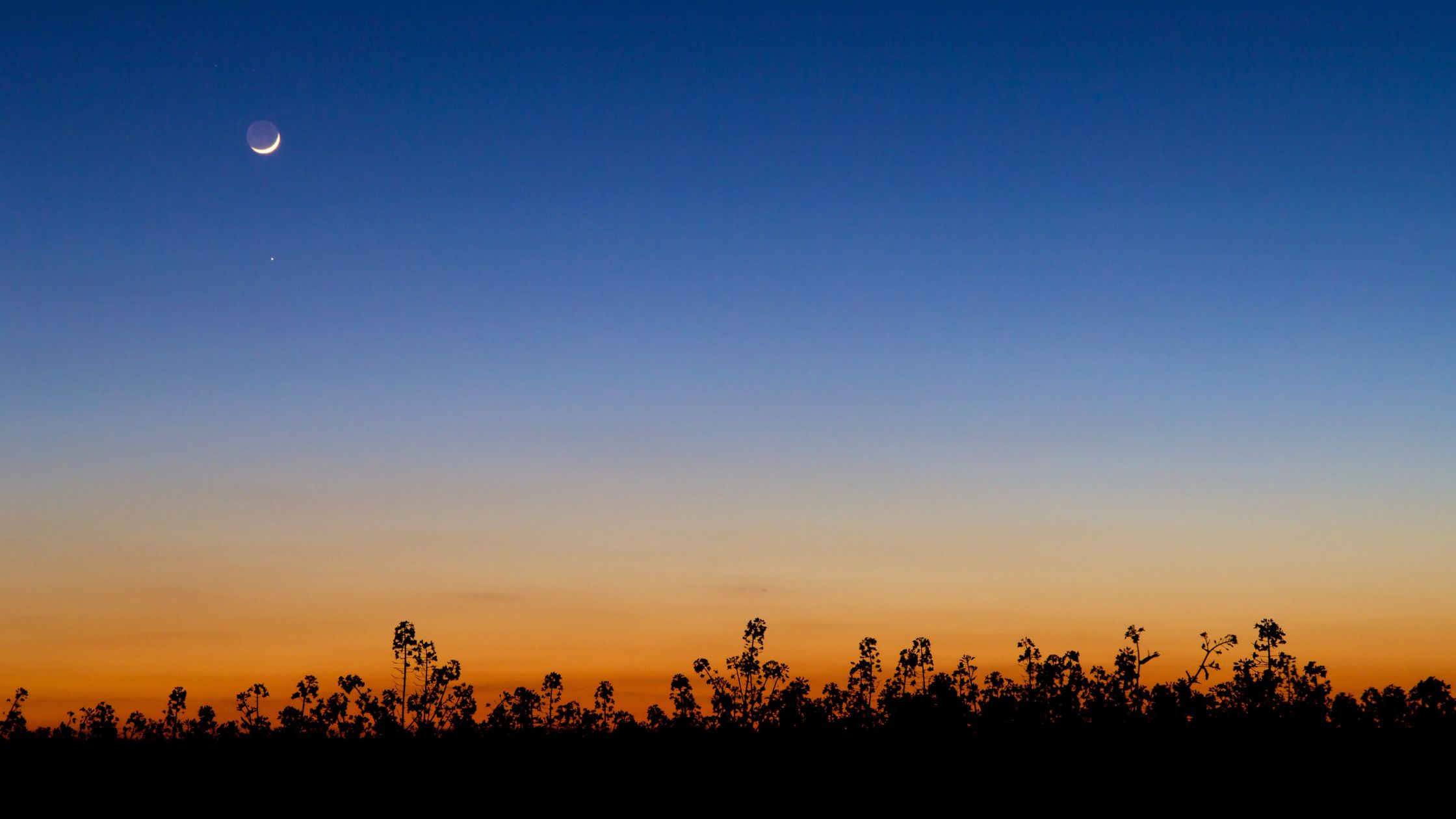 Dein Horoskop für Mittwoch, den 29. April 2026