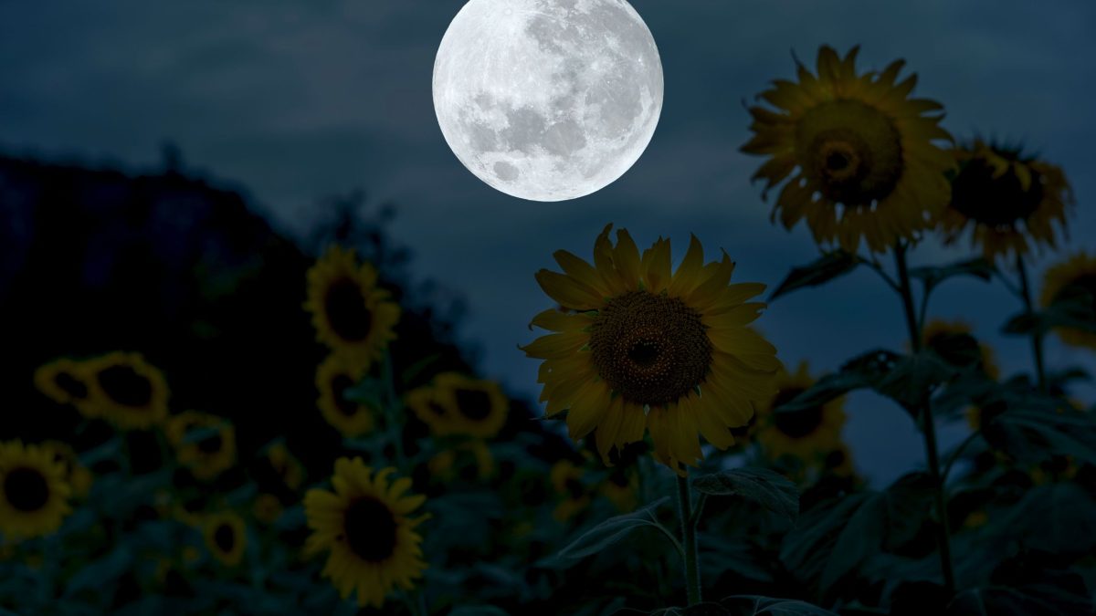 Dein Horoskop für Samstag, den 25. April 2026