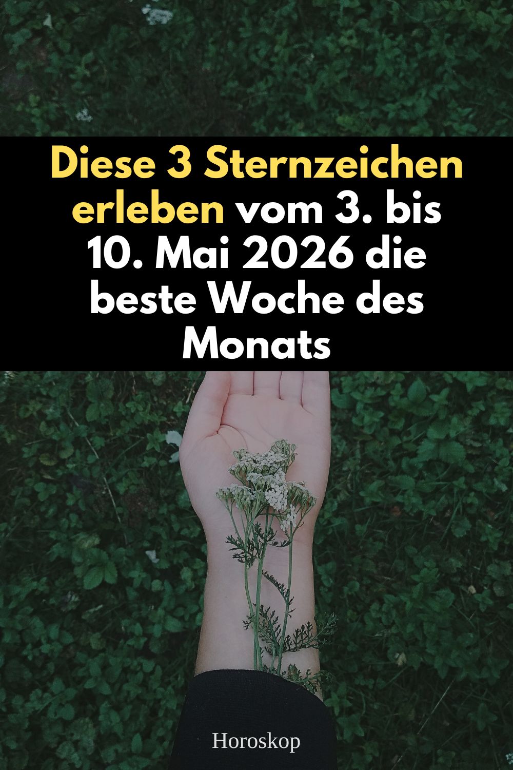 Sternzeichen Mai 2026, Horoskop Mai 2026, beste Woche Sternzeichen, Glückswoche Sternzeichen, Löwe Horoskop Mai 2026, Fische Horoskop Mai 2026, Waage Horoskop Mai 2026, astrologische Prognose Mai 2026, Pluto rückläufig Mai 2026, Venus Zwillinge Horoskop, Jupiter Krebs Bedeutung, Sternzeichen Glück 2026
