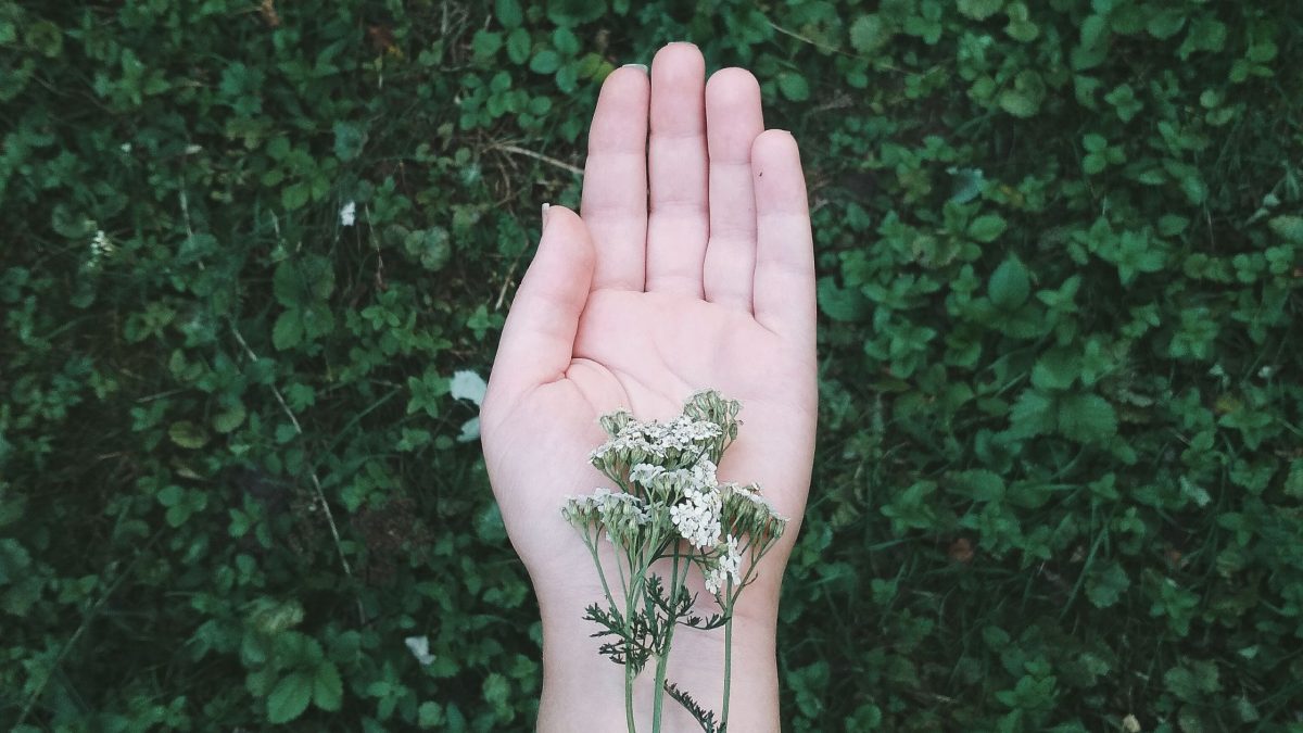 Diese 3 Sternzeichen erleben vom 3. bis 10. Mai 2026 die beste Woche des Monats
