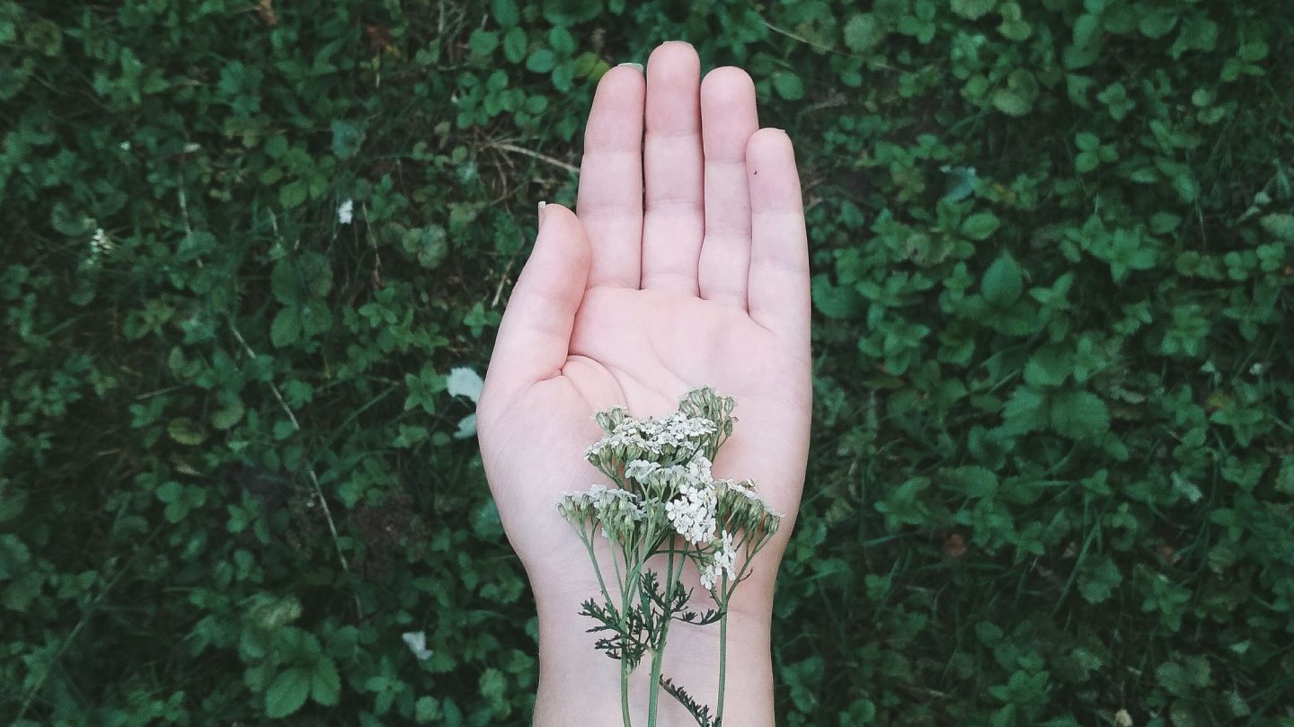 Diese 3 Sternzeichen erleben vom 3. bis 10. Mai 2026 die beste Woche des Monats